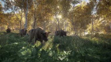 Call of the Wild Bundle preview 19