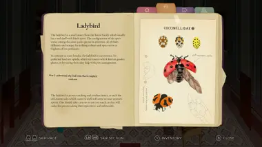 Clem preview 7