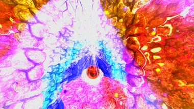 Clinically Dead preview 4
