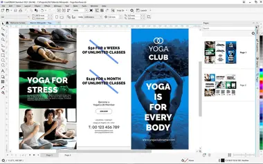 CorelDRAW 2021 Standard (2 PC, Lifetime) - Corel Key preview 4
