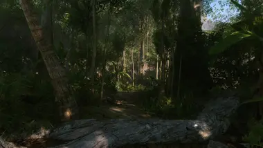 Crysis Remastered Trilogy - Live preview 5