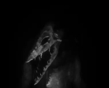 Daemonologie preview 2