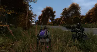 DayZ | Deluxe Edition preview 5