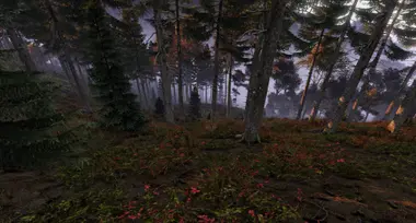 DayZ | Deluxe Edition preview 6