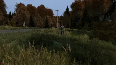 DayZ | Deluxe Edition preview 7