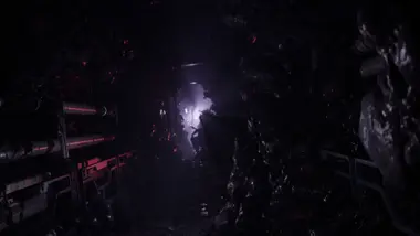 Directive 8020 preview 4
