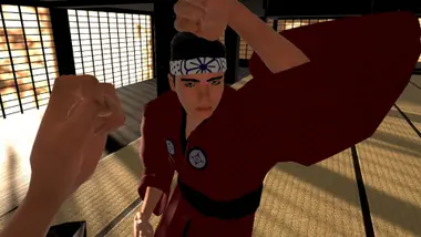 Dragon Fist: VR Kung Fu preview 6