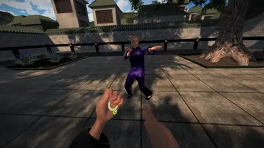 Dragon Fist: VR Kung Fu preview 15