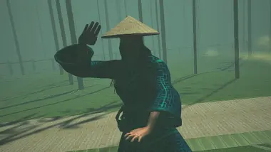 Dragon Fist: VR Kung Fu preview 7