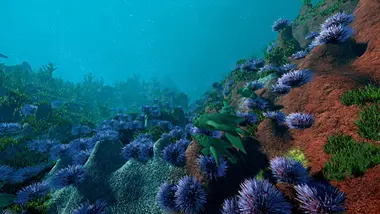 Ecosystem preview 9