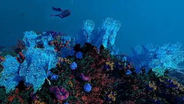 Ecosystem preview 3