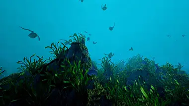 Ecosystem preview 7