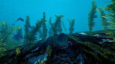 Ecosystem preview 14