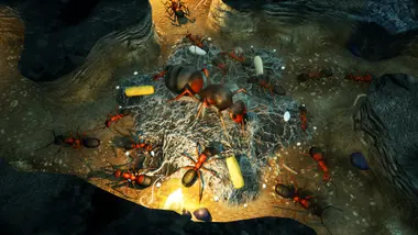 Empires of the Undergrowth preview 3