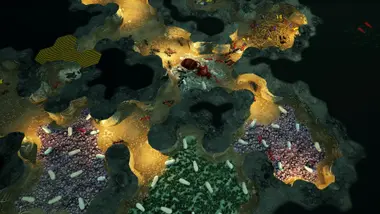 Empires of the Undergrowth preview 9