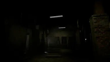 Entities preview 12