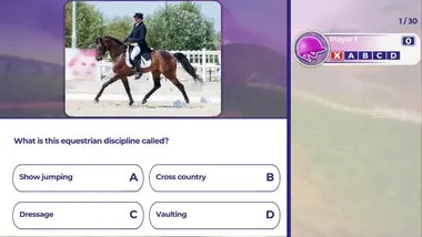 Equestrian Training preview 3
