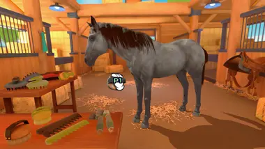 Equestrian Training preview 6
