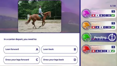Equestrian Training preview 5
