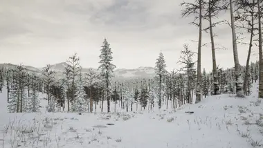 Erzurum preview 2