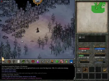 Eschalon: Book II preview 4