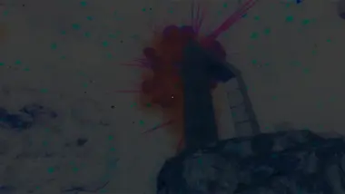 Euclidean preview 3