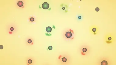 Eufloria HD Deluxe Edition preview 9