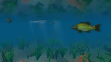 European Fishing preview 4