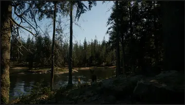 Evergreen: Mountain Life Simulator preview 5