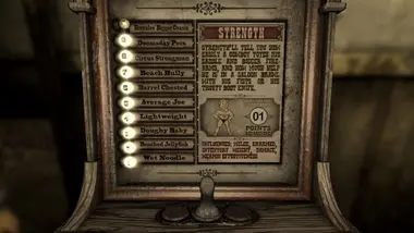 Fallout: New Vegas - All DLC Pack preview 12
