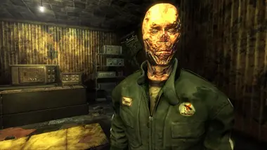 Fallout: New Vegas - All DLC Pack preview 9