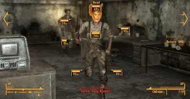 Fallout New Vegas preview 11