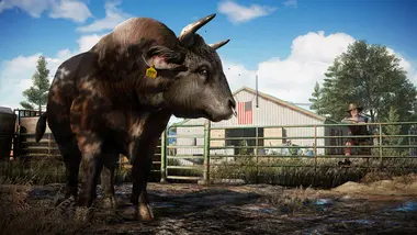Far Cry 5 - Live preview 4
