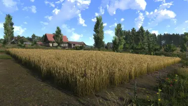 Farmer's Dynasty 2 preview 5