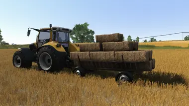 Farmer's Dynasty preview 7