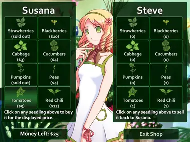 Flower Shop: Summer In Fairbrook preview 11