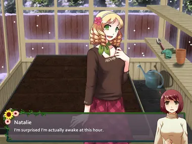 Flower Shop: Winter In Fairbrook preview 6