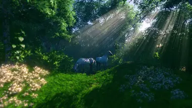 FlowScape preview 2