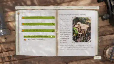 Forest Ranger Simulator preview 3