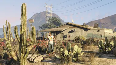 Grand Theft Auto V Enhanced preview 20