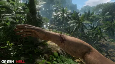 Green Hell - - EMEA preview 4