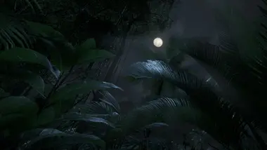Green Hell VR preview 9