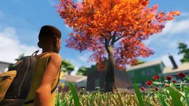 Grounded preview 6