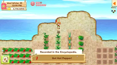 Harvest Moon: Light of Hope Special Edition preview 4