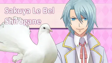 Hatoful Boyfriend Collector's Edition preview 4