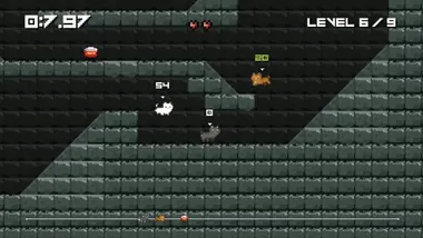 High Cats preview 2