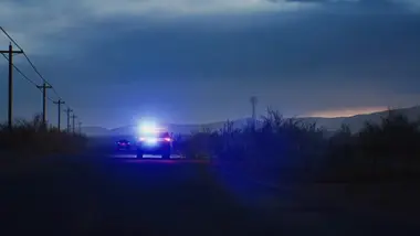 Highway Police Simulator preview 11