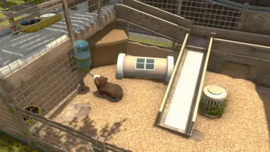 House Flipper - Pets DLC preview 6