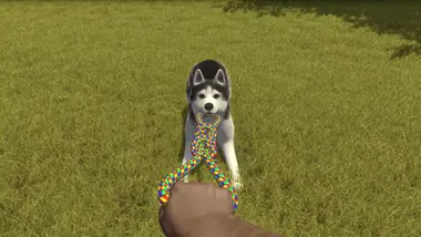 House Flipper - Pets DLC preview 9