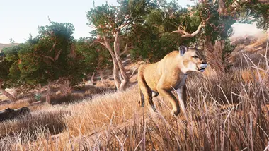 Hunting Simulator preview 4